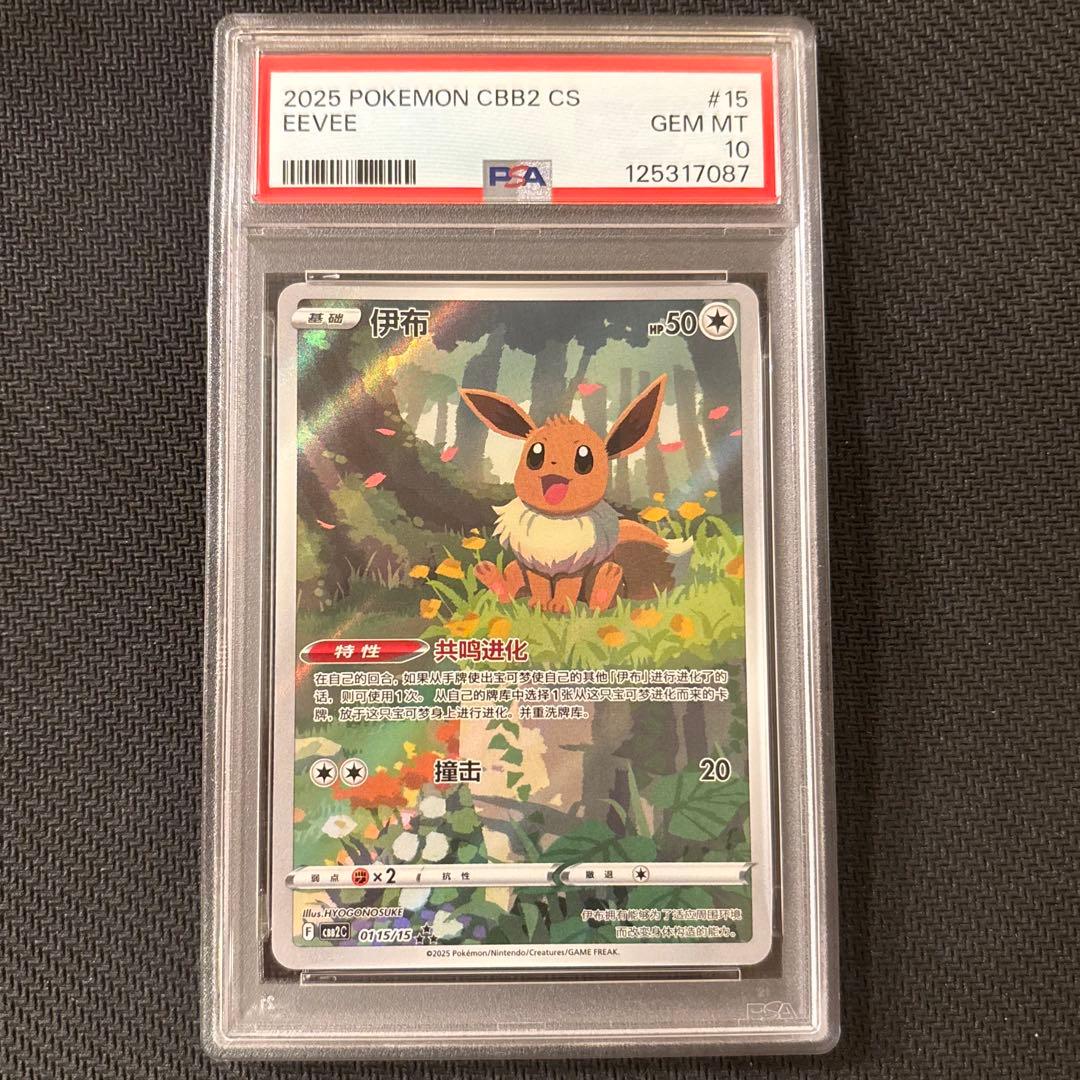 イーブイ　中国　AR PSA10