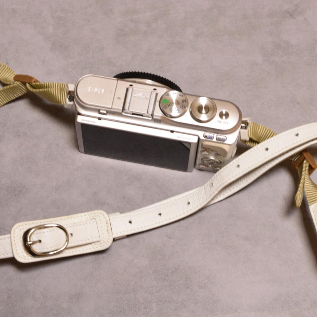 OLYMPUS PEN E-PL9 ダブルズームキット シャッター数644回