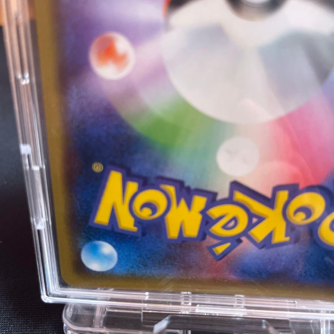 【最終値下げ‼️】まるのみされたピカチュウ：「オコヤの森のセレビィ&ザルード」