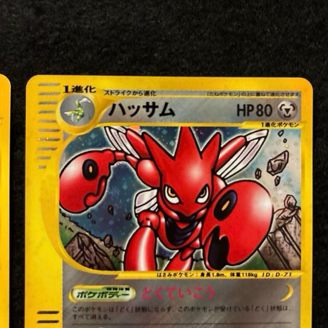 ふ*ぅ様 #ゆんの気まぐれオークション　（梅）　ハッサム