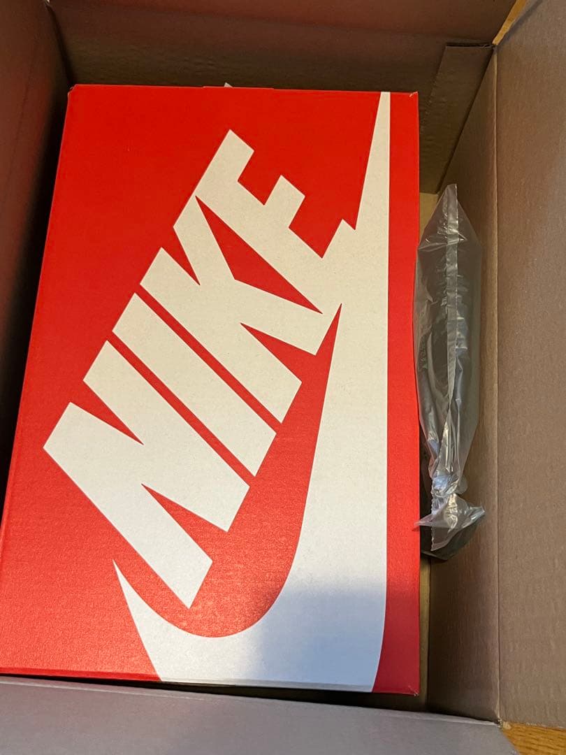 n*a様 ナイキ　フェノメナ　24cm