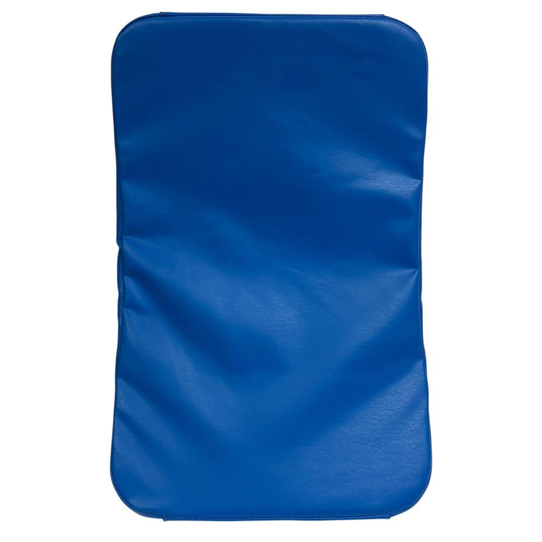 【美品】ISAMI キックミット ブルー ブラック 空手 キックボクシング