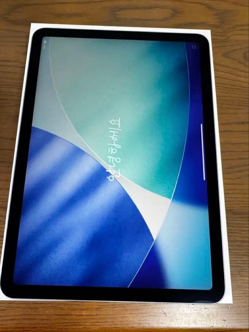 iPad本体 Apple iPad Air 64GB