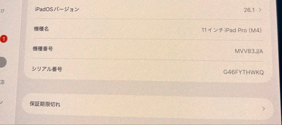 iPad Pro M4 11インチ wifiモデル