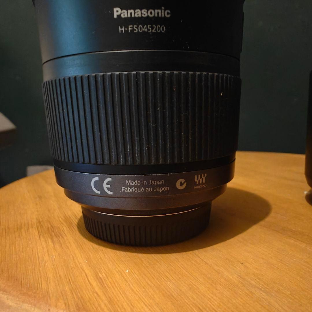 レンズ(ズーム) LUMIX G VARIO 45-200/4.0-5.6(H-FS045200)