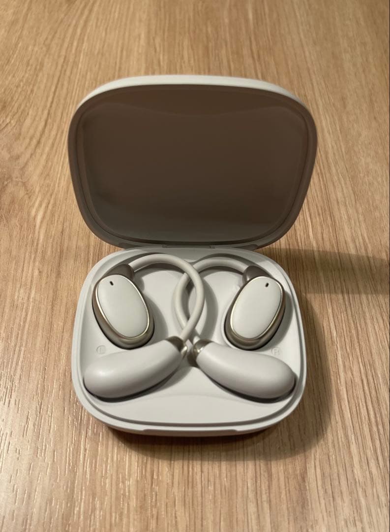 VORMOR V13 (AIワイヤレス翻訳イヤホン)