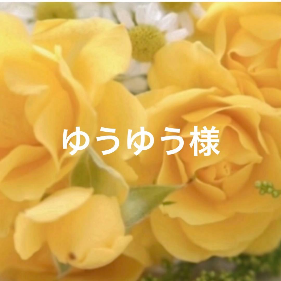 リーナベル、ジェラトーニ用コスチューム