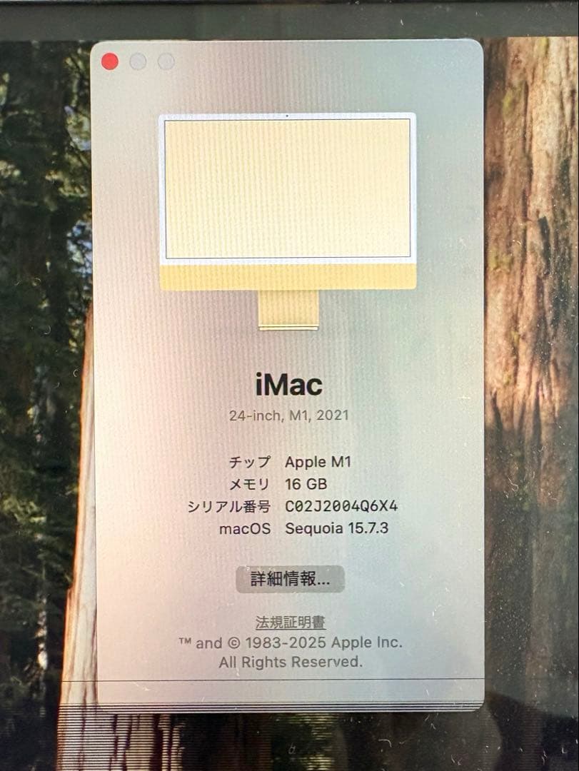【希少16GB】iMac 24 M1 イエロー 512GB テンキー付 ジャンク