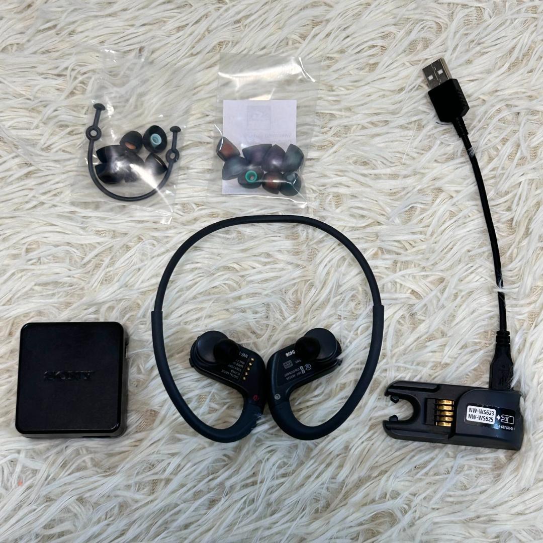 レア　SONY　ソニー　イヤホン　ワイヤレス　ブラック　NW-WS623