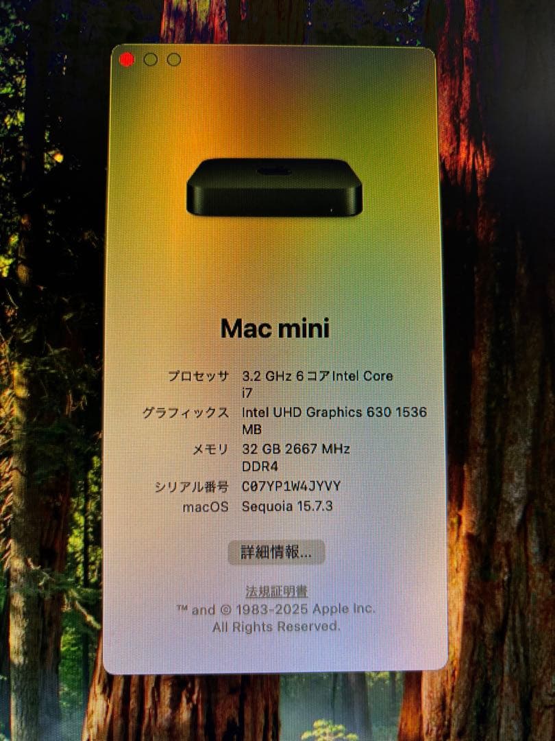 Macデスクトップ Apple Mac mini 32GB i7 3.2GHz