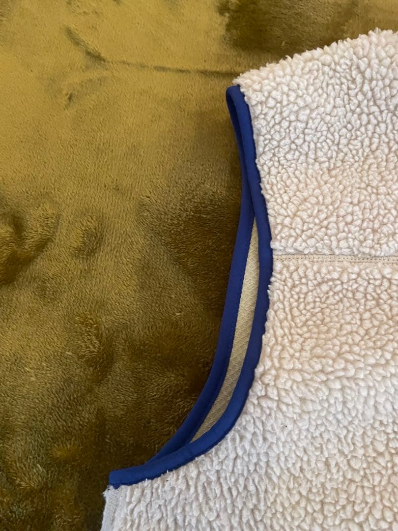 patagonia パタゴニア クラシックレトロXベスト Mサイズ ナチュラル