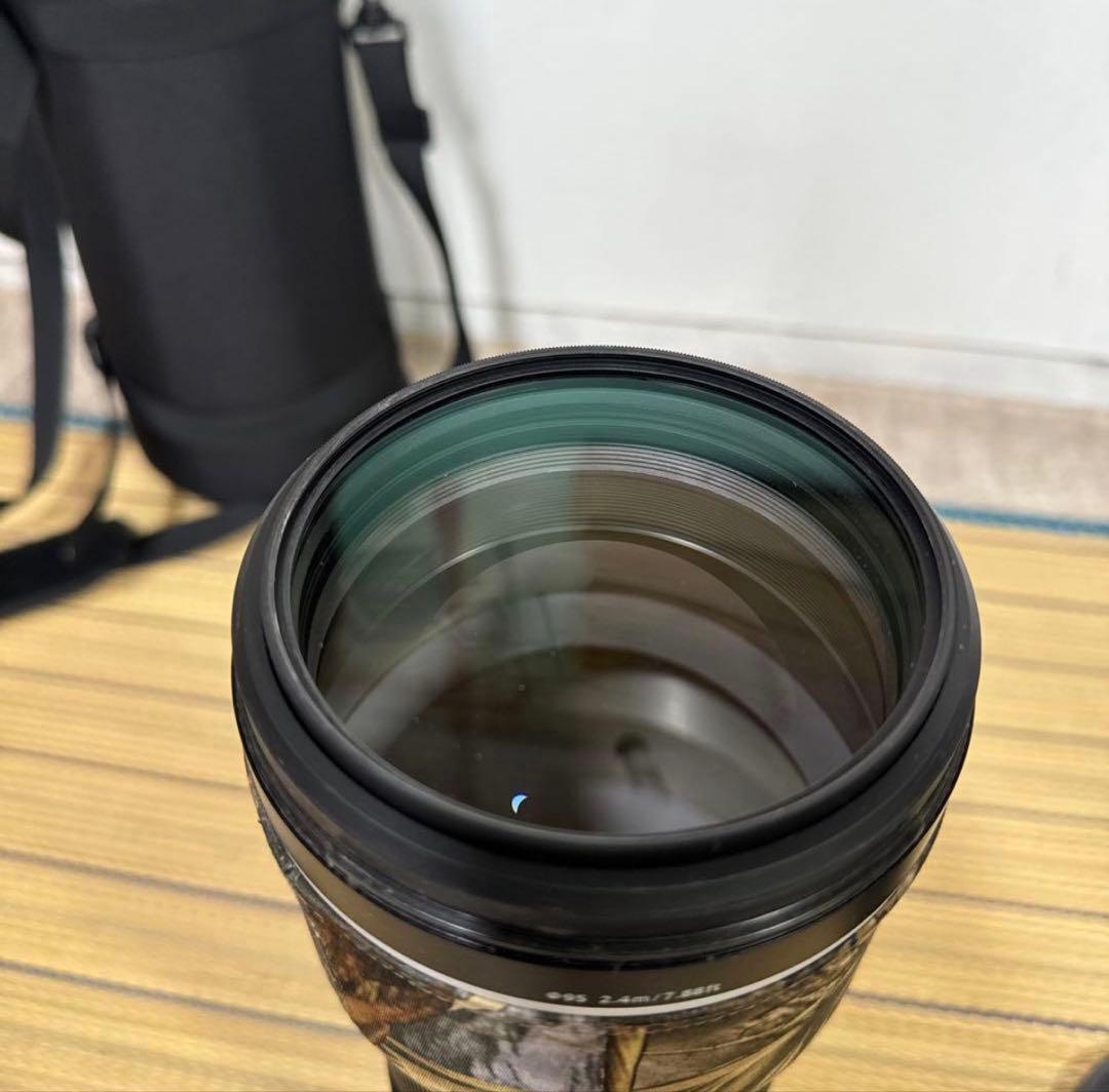 レンズ(ズーム) FE200-600mm F5.6-6.3 G OSS SEL200600G