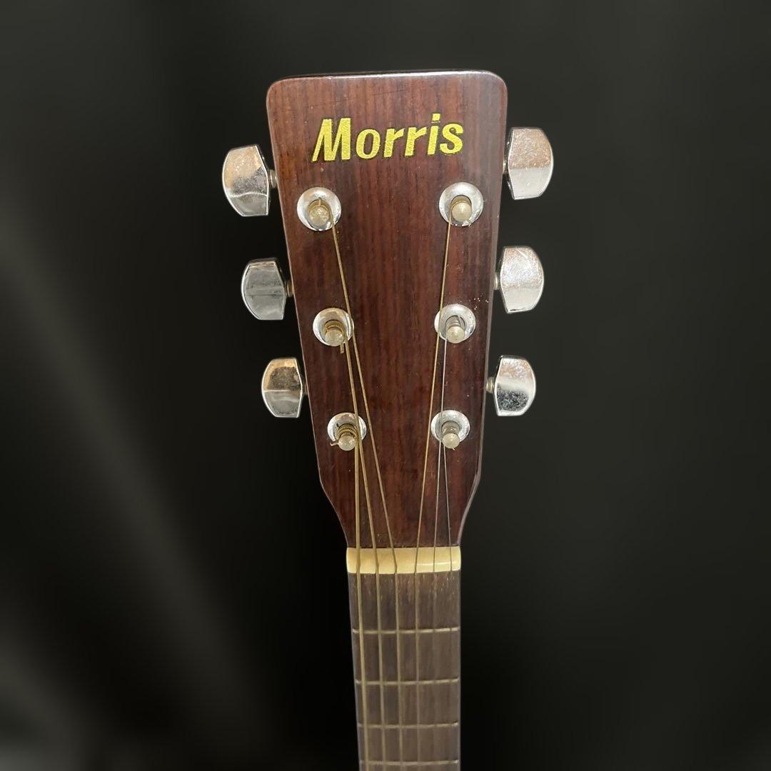 Morris MD~502 モーリス アコースティックギター