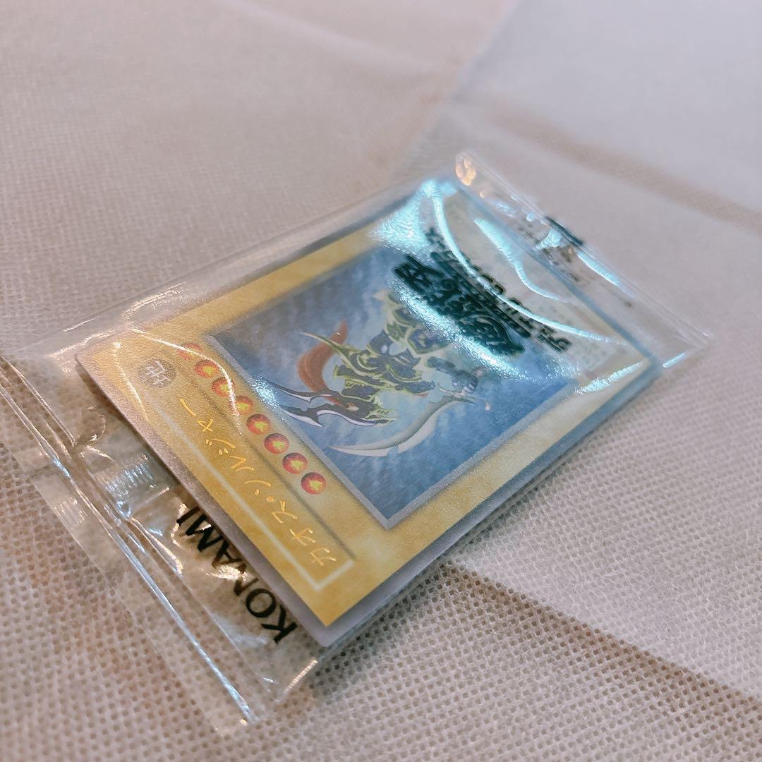 [未開封・新品]カオスソルジャー　完品フルセット