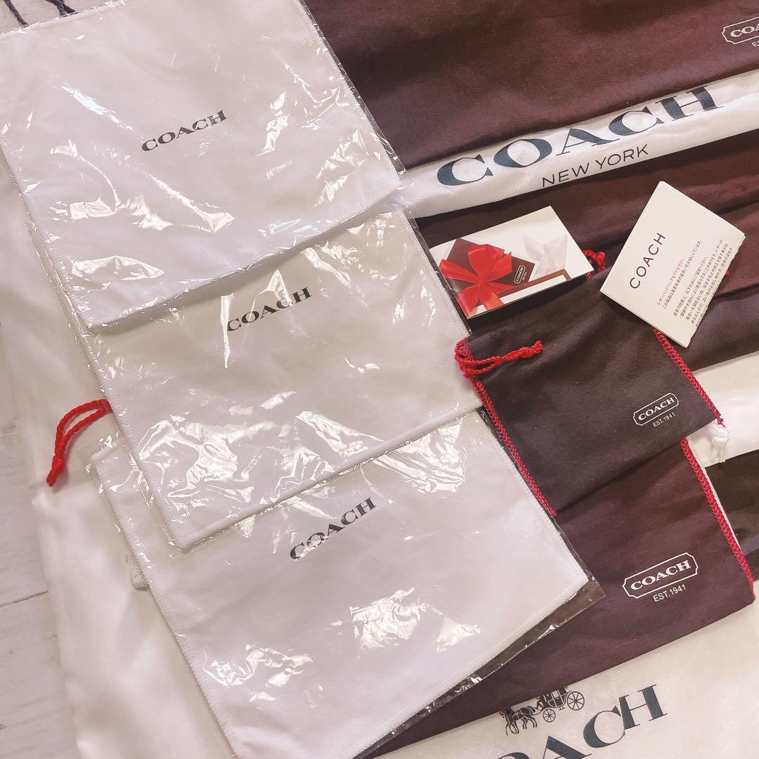 H2963 COACH コーチ　カード　大 収納　保存袋　袋　バッグ　まとめ