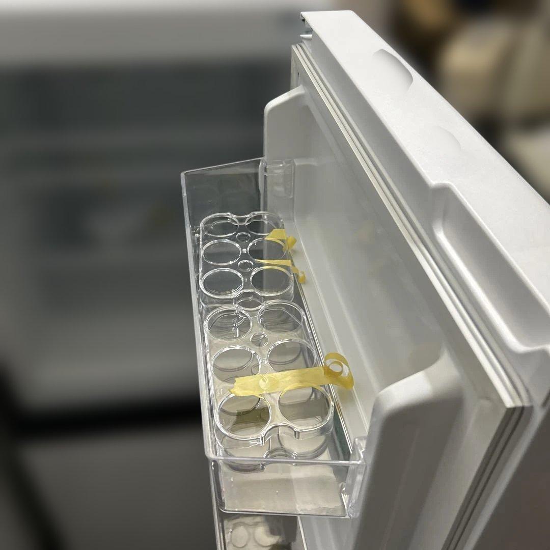 美品！ハイセンス冷蔵庫135ℓ 単身2024年購入