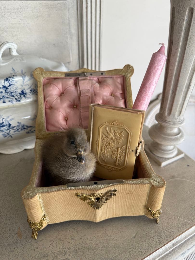 フランスアンティーク装飾ビジューコフレボックス中ライナーシルクピンク希少