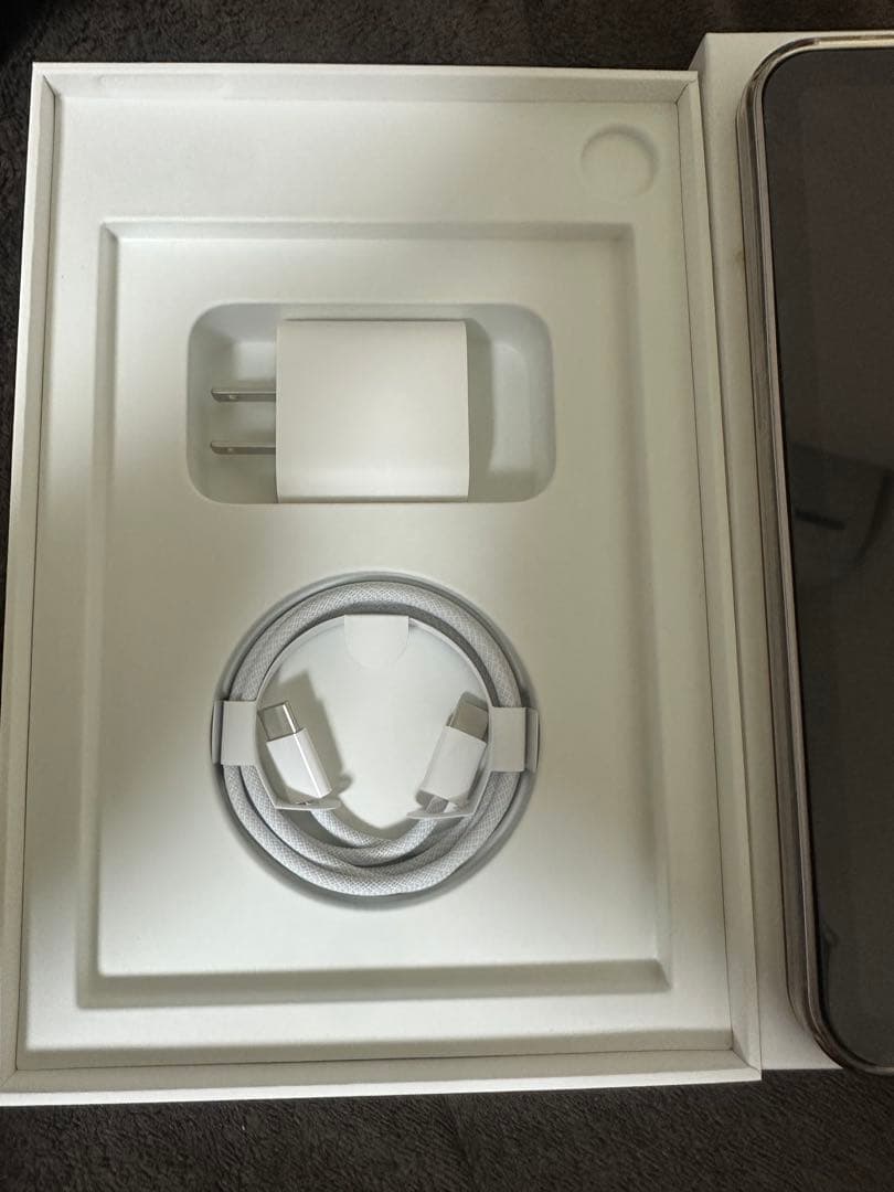 Apple iPad mini 7 本体