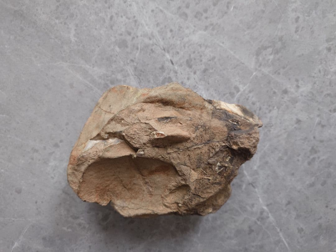 アメジスト クラスター 原石 パワーストーン 天然石 一点物