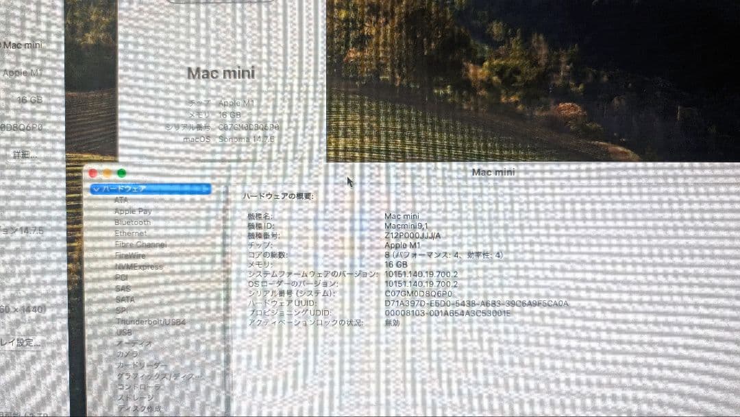 【美品】Mac mini 2020 M1 16G 2TB 10Gbps CTO