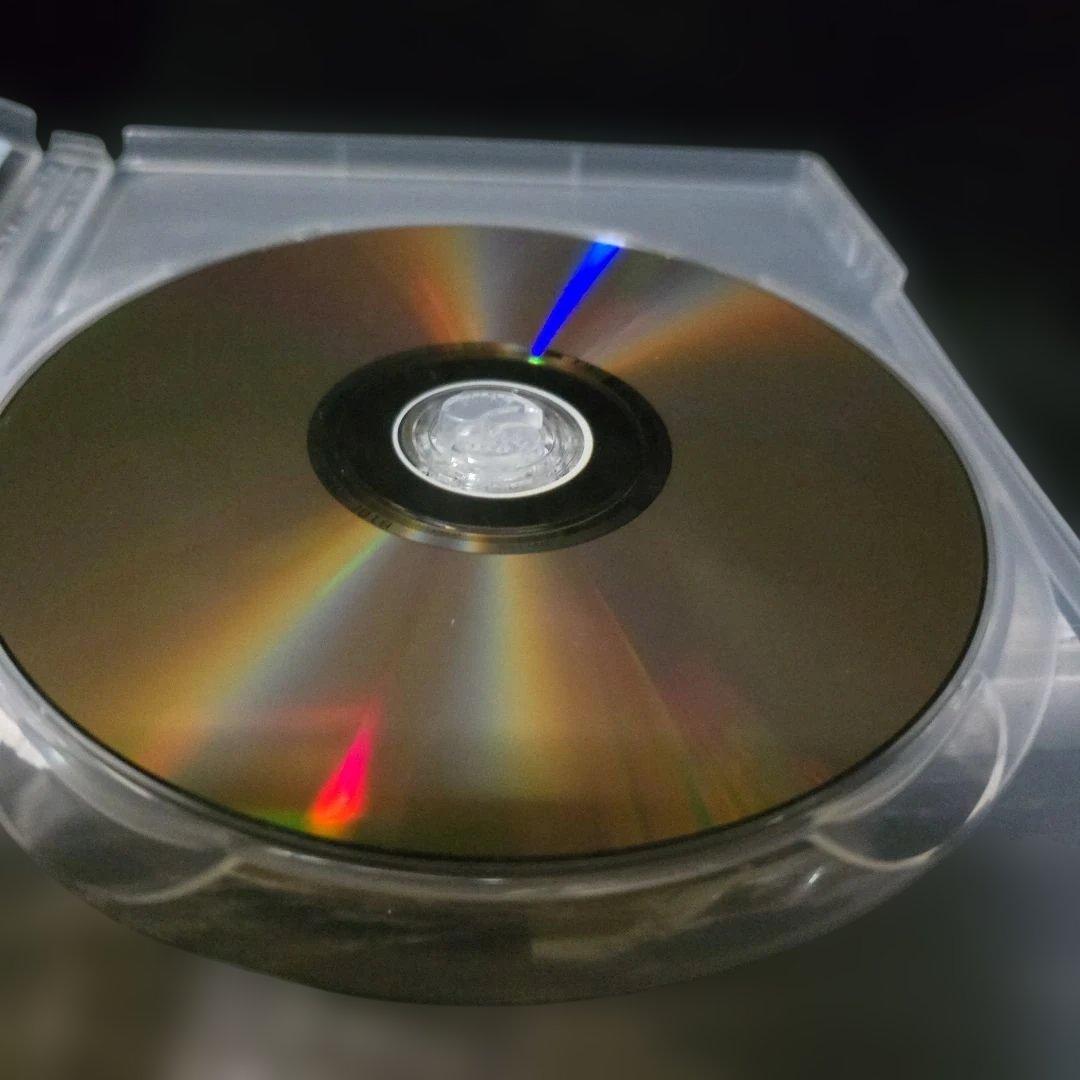 『廃盤』『美品』イントゥ・ザ・ワイルド('07米) DVD