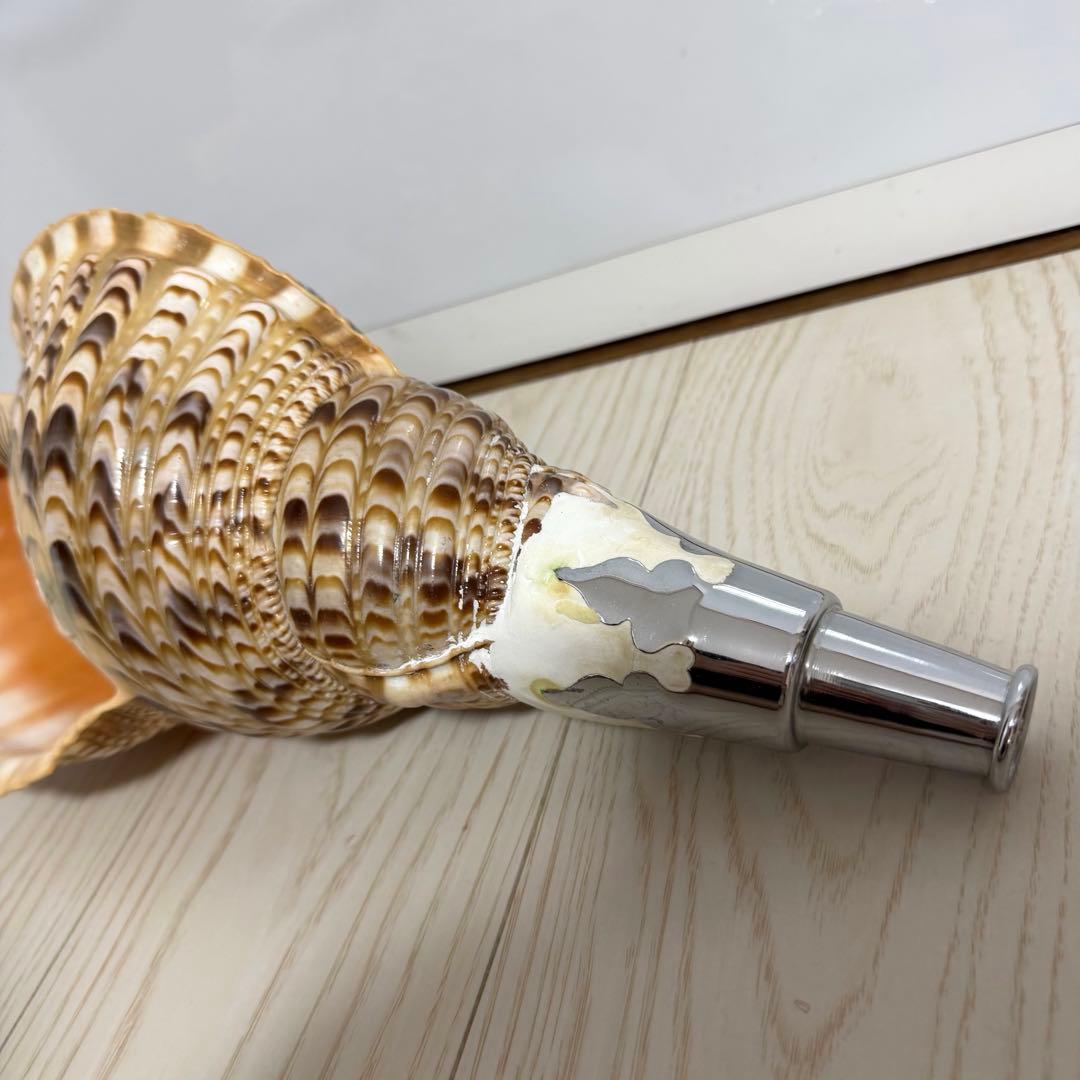 特大 法螺貝 41cm