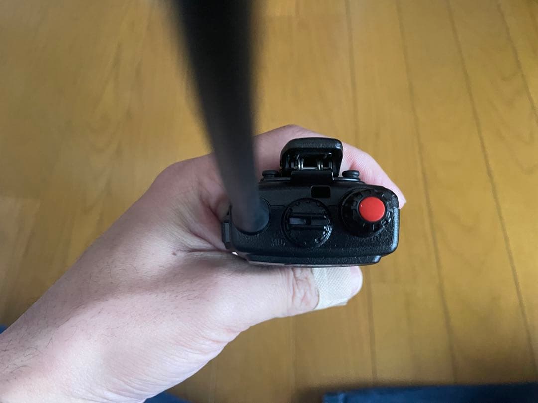 r.y : ALINCO 特定小電力トランシーバー　DJ-P240L