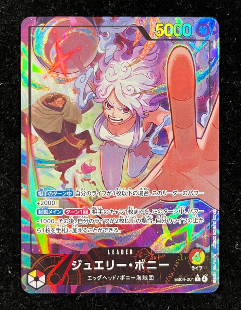 ボニー　リーダーパラレル　①