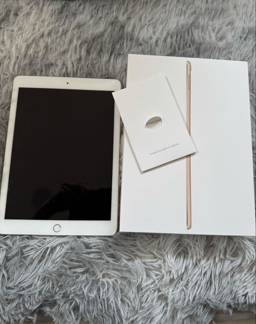 iPad Pro 9.7インチ 256GB (第1世代) セルラーモデル