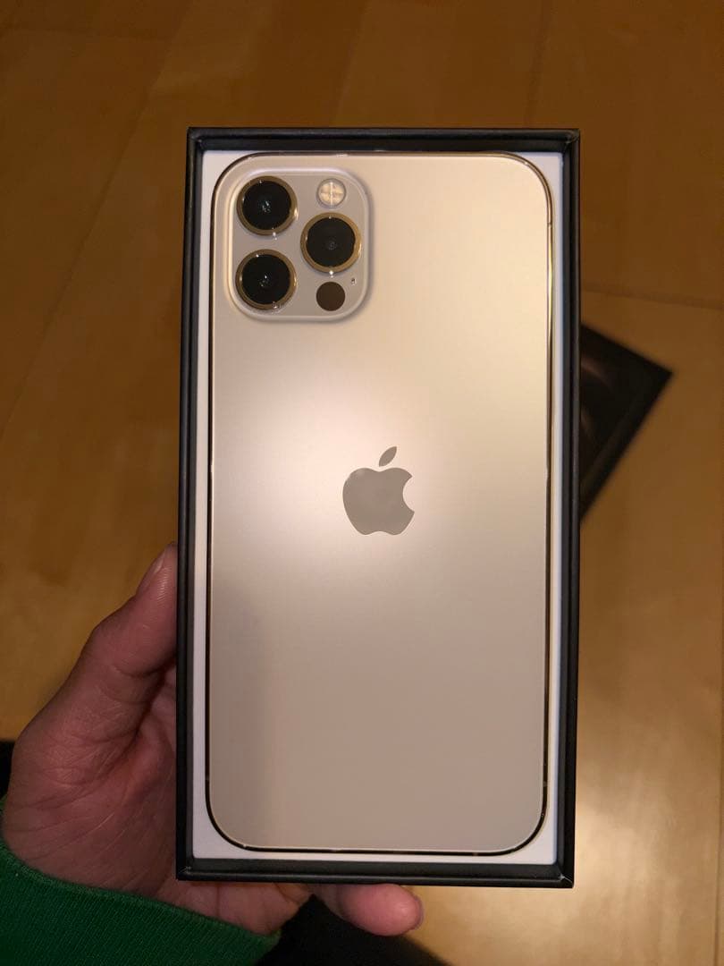 Apple iPhone 12 ブラック 本体　ジャンク