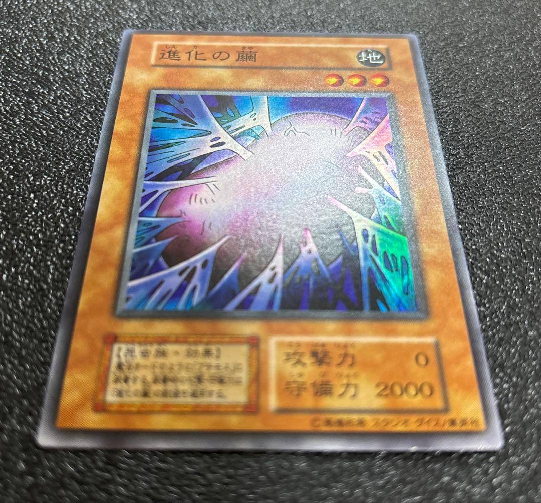 (美品)遊戯王カード初期　進化の繭　スタジオダイス版