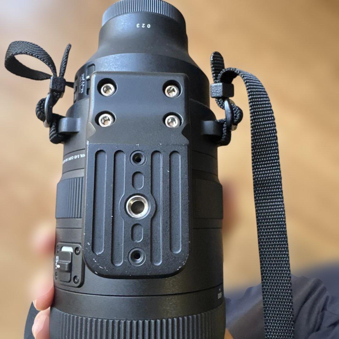 シグマ 60-600mm F4.5-6.3 DG DN OS ソニーE用