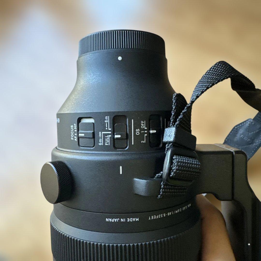 シグマ 60-600mm F4.5-6.3 DG DN OS ソニーE用