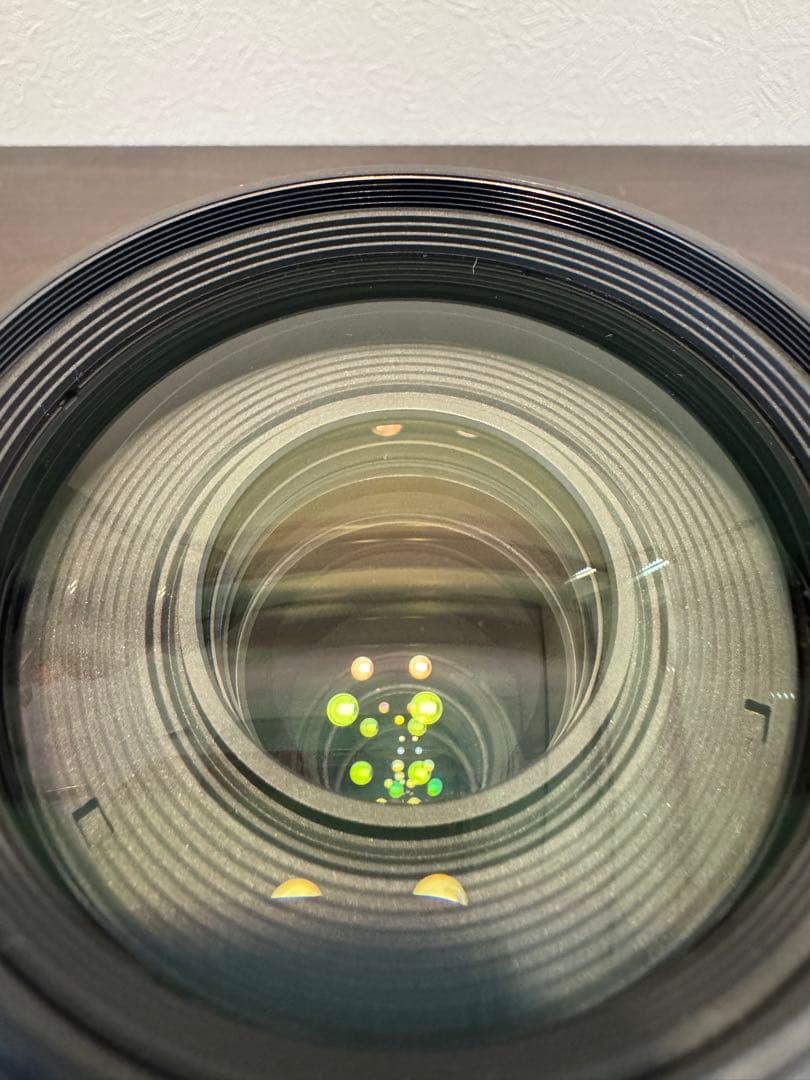 Canon EF 100-400mm F4.5-5.6L IS II キャノン