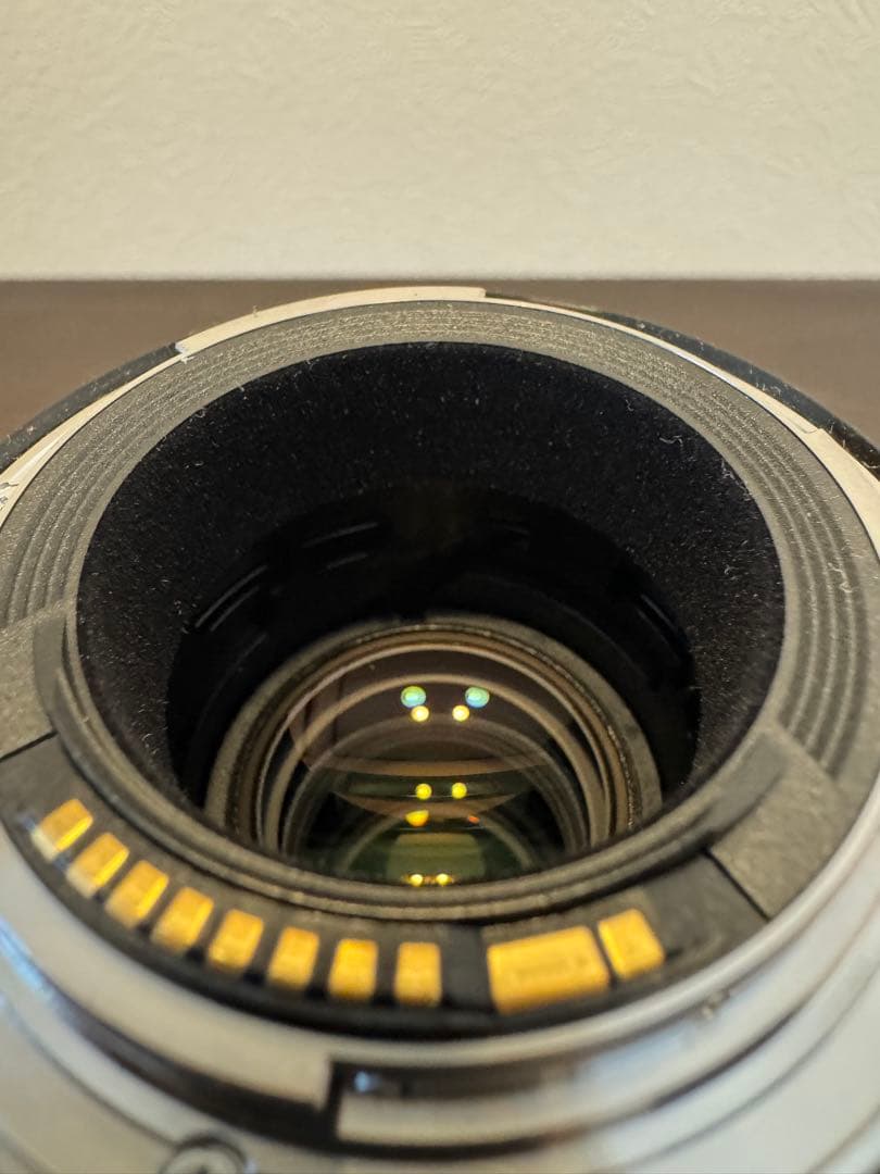 Canon EF 100-400mm F4.5-5.6L IS II キャノン