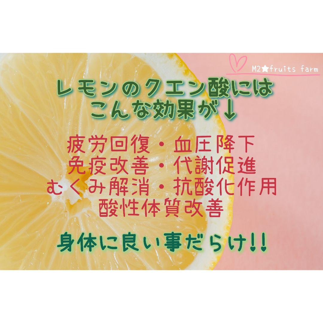 【ꕤ451】熊本県産 赤姫レモン 20kg（国産レモン）