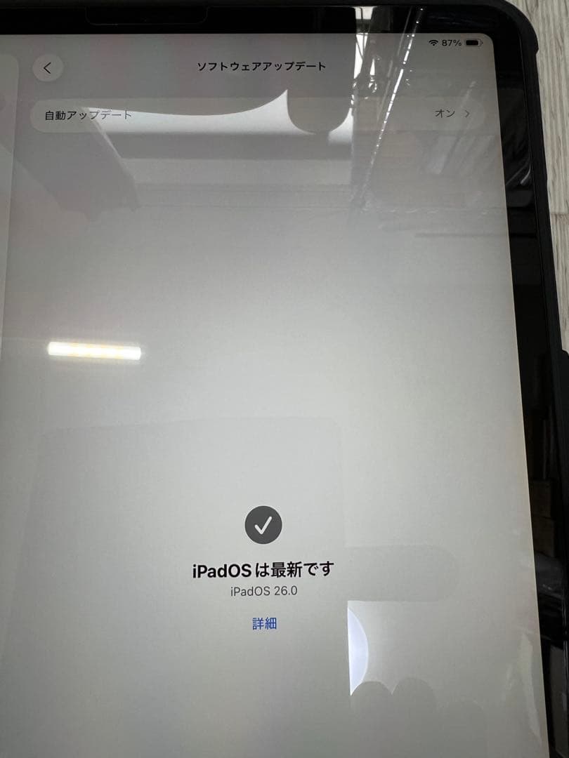 iPad Pro 12.9 第4世代 256GB セルラー 美品