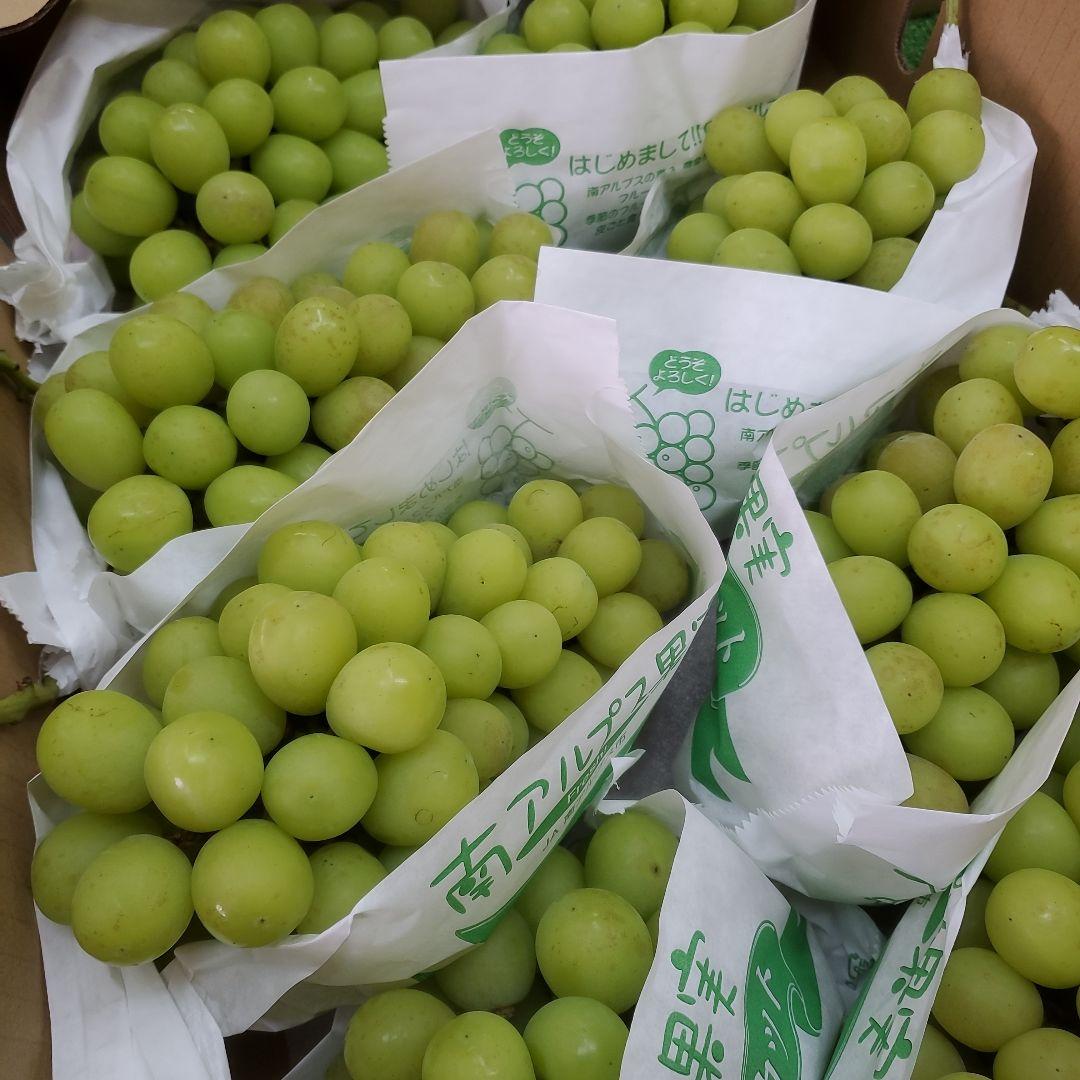 0️⃣8️⃣ 山梨県産 シャインマスカット８房入り 箱込み5.4キロ