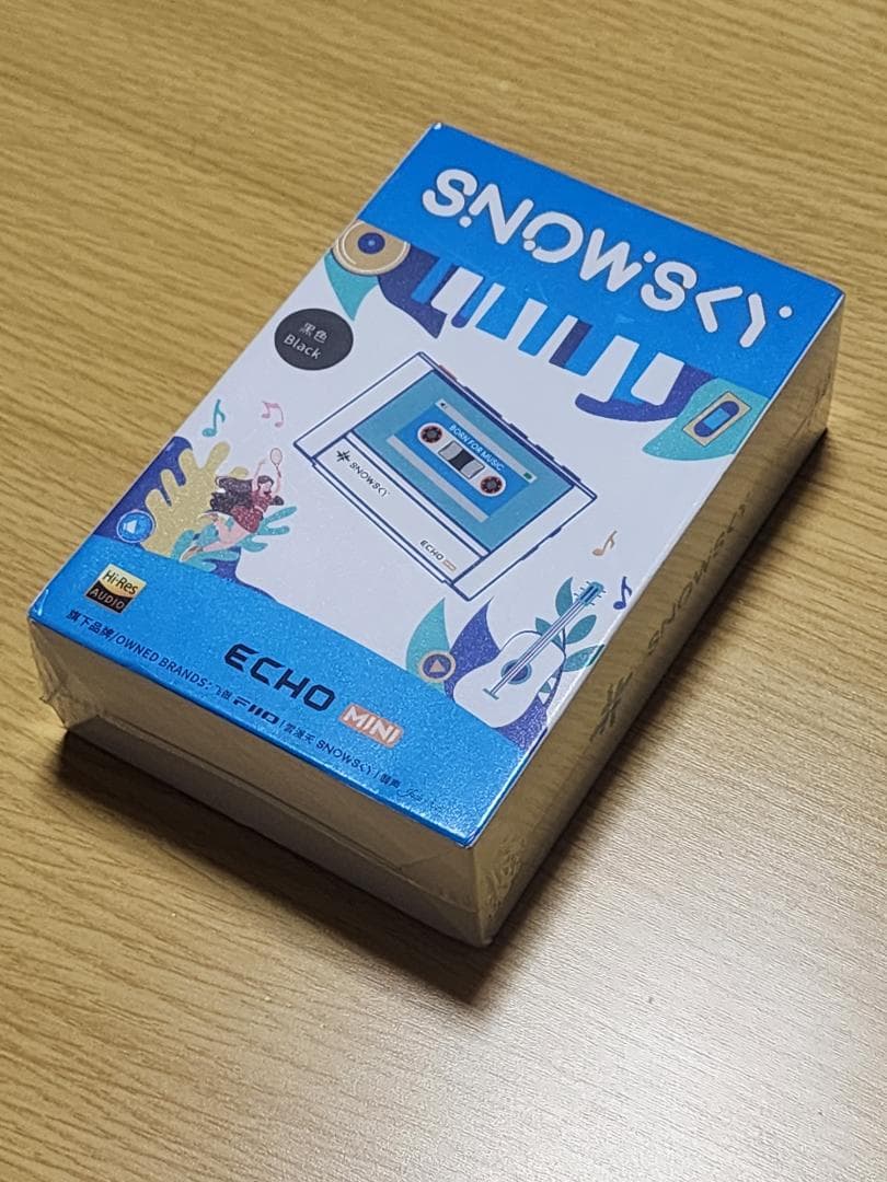 【新品未開封】FiiO sky ECHO MINI Black