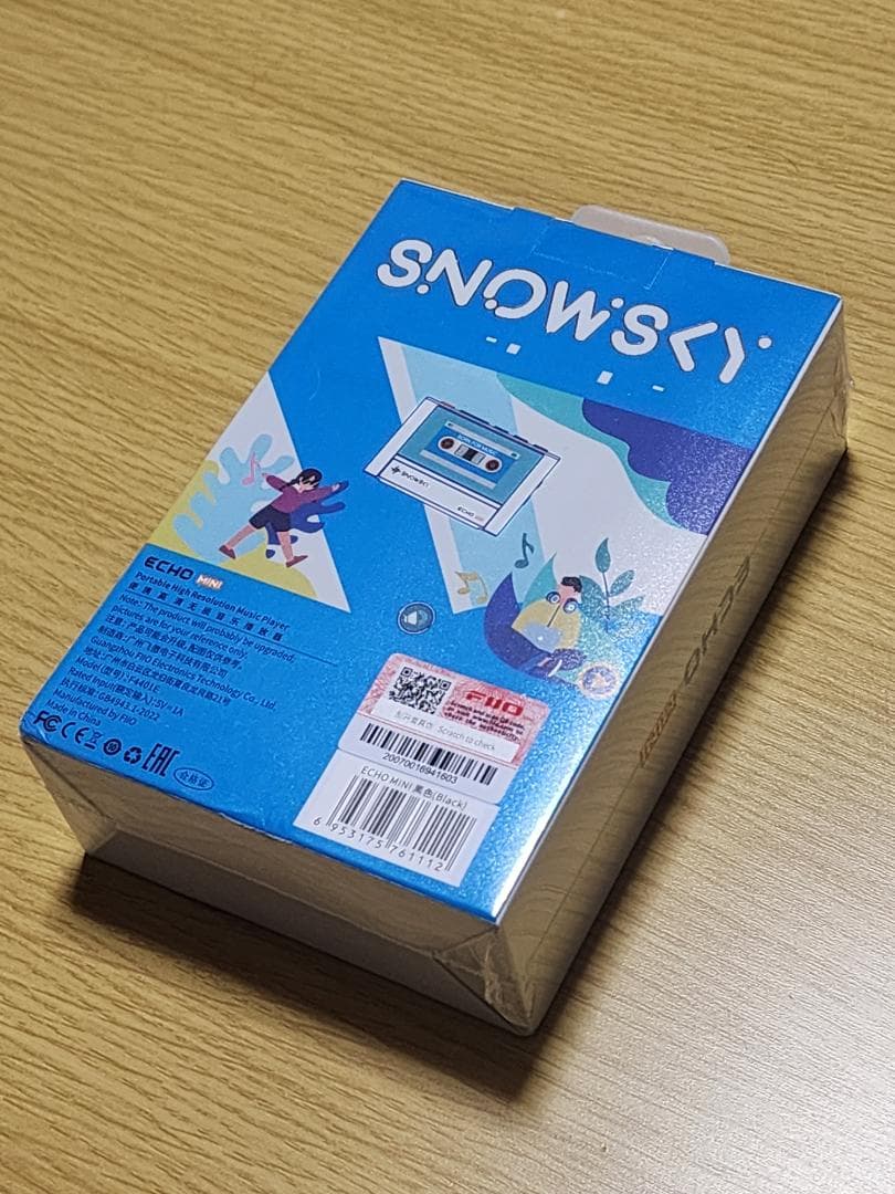 【新品未開封】FiiO sky ECHO MINI Black