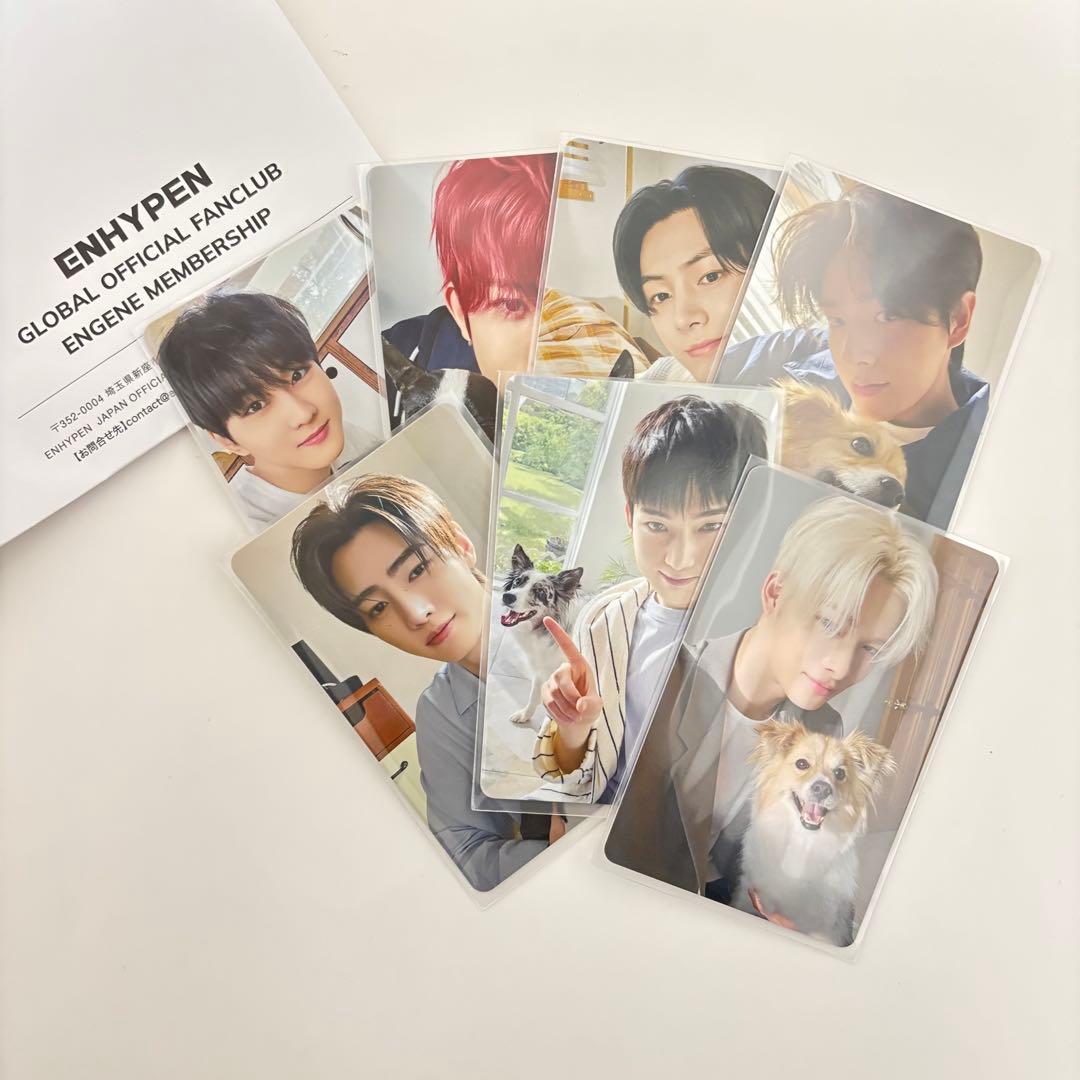 ENHYPEN アンケート トレカ セット