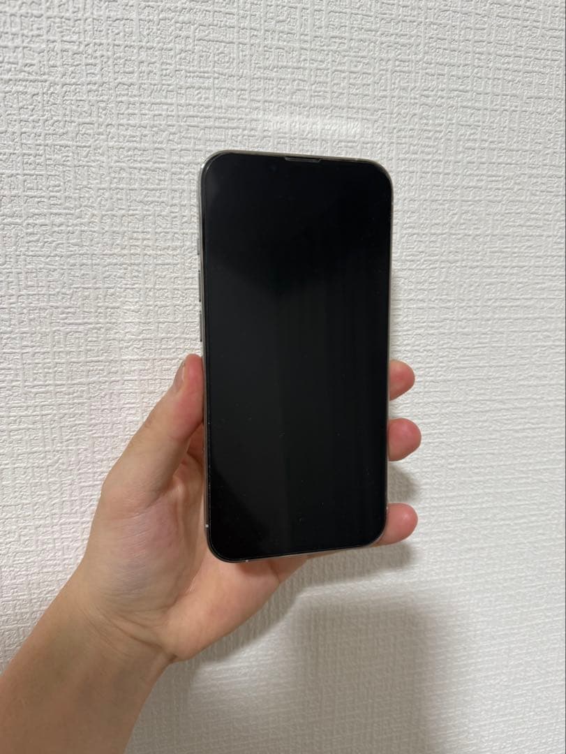 Apple iPhone 13 Pro シルバー 本体256GB