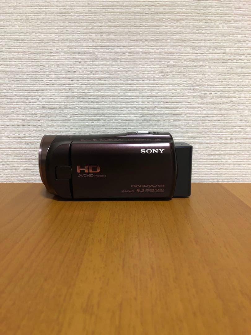 SONY ビデオカメラ HDR-CX480 ブラウン