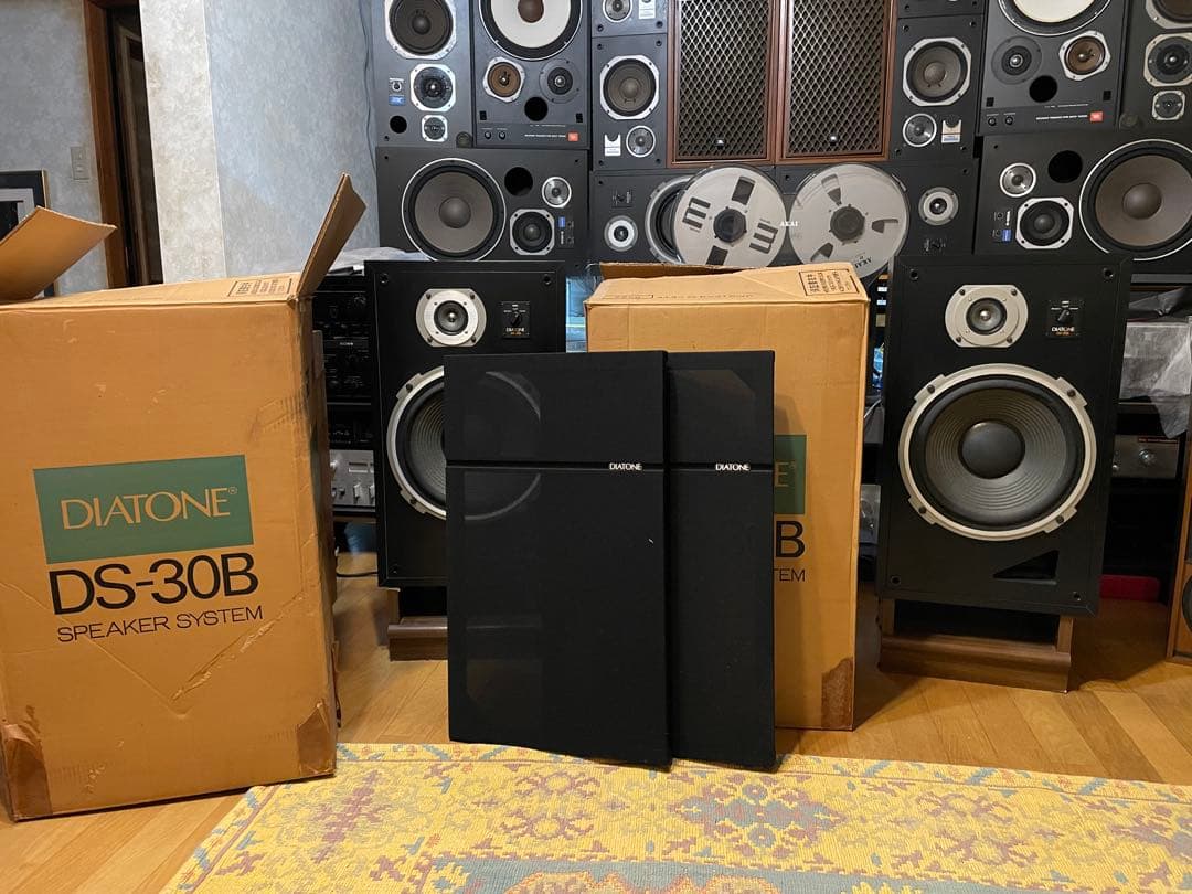 DIATONE DS-30B 30センチスピーカー　YouTube視聴可能