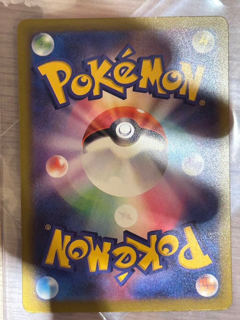 ぽ*ん様 5555円始め　カナリィ SAR オークション