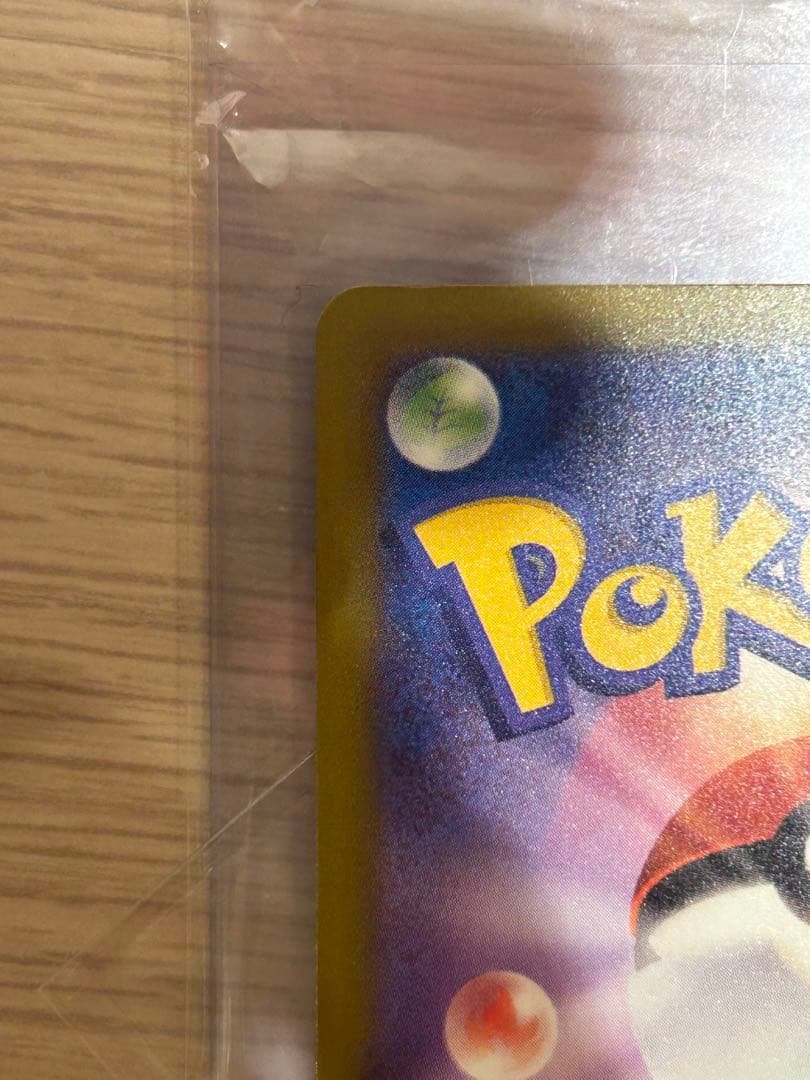 ぽ*ん様 5555円始め　カナリィ SAR オークション