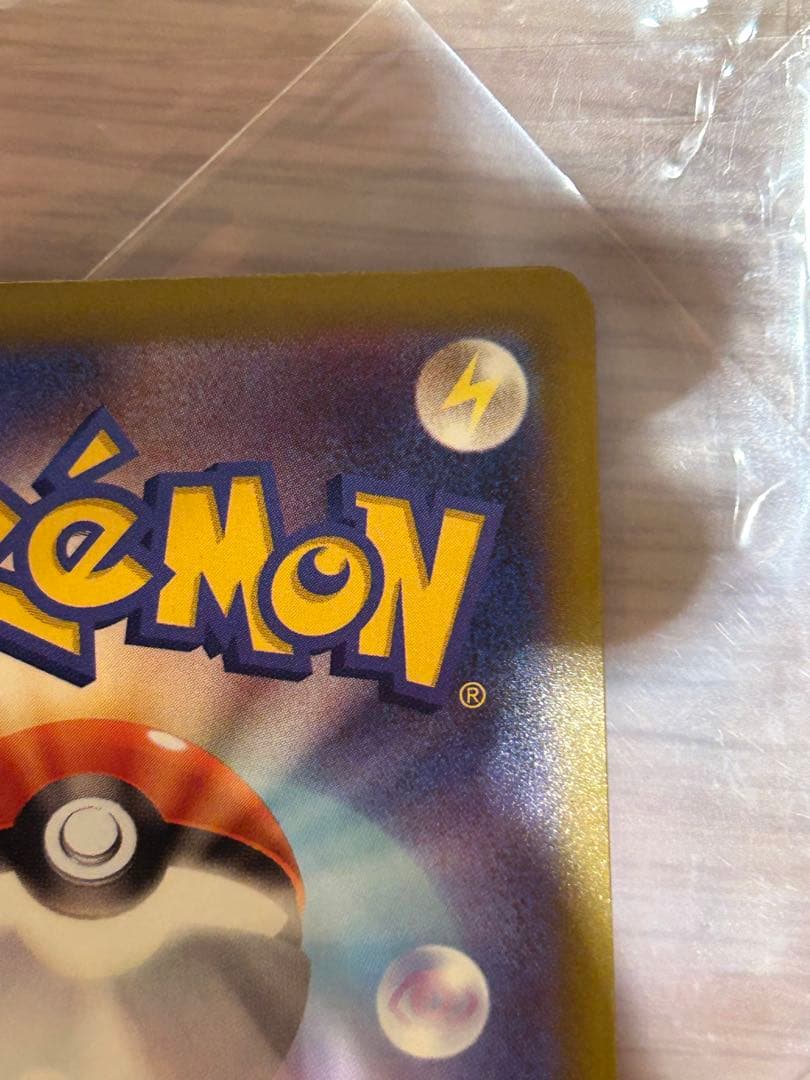 ぽ*ん様 5555円始め　カナリィ SAR オークション