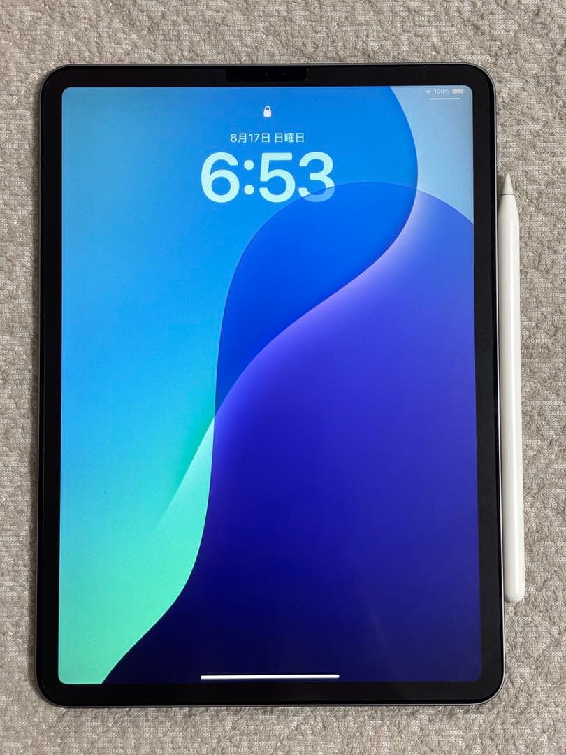 Apple iPad Pro (11インチ) 256GB 第一世代＋Pencil