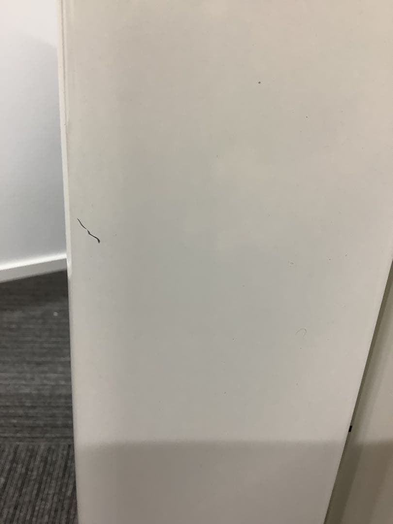 パナソニック 除湿形電気衣類乾燥機 NH-D603 2020年製