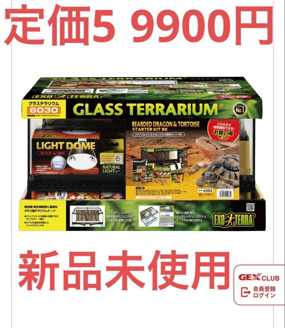 【0825】GLASS TERRARIUM 6030 飼育セット